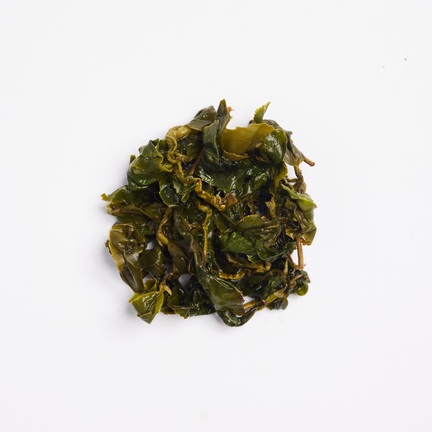 Alishan Jin Xuan (High Mountain Oolong Tea)