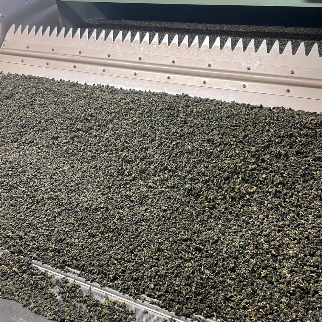 Four Seasons (Oolong Tea)