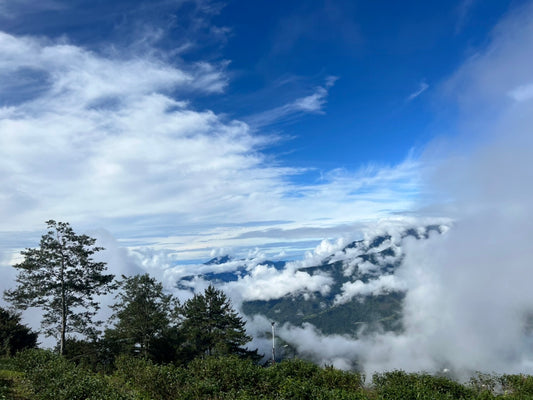 Huagang Water Source – The Pinnacle of Taiwanese Oolongs